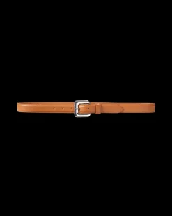 Glossinia Belt in Brown/Silver