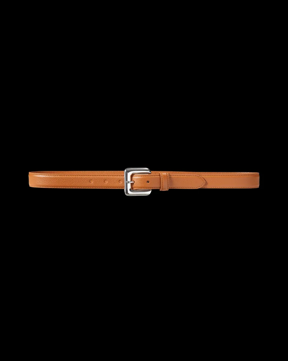 Glossinia Belt in Brown/Silver